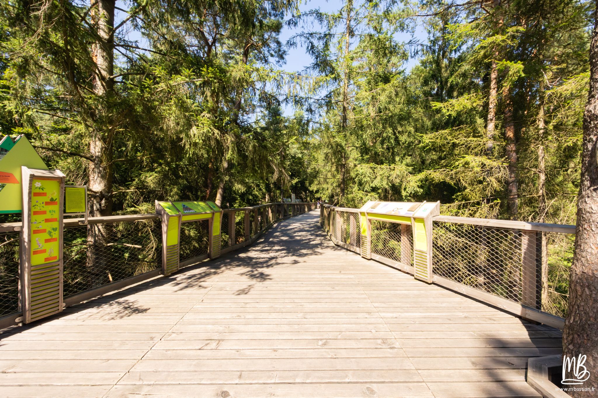 20250810 Le chemin des cimes MB 5